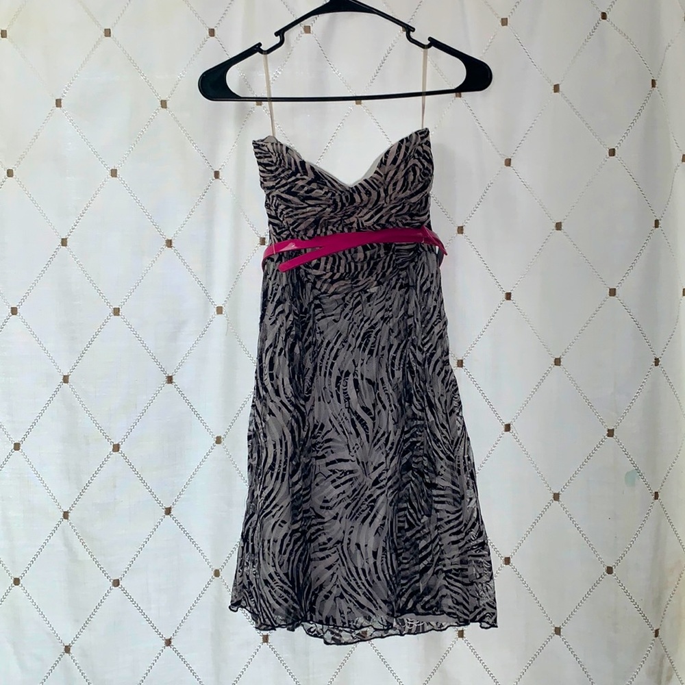 Charlotte Russe- Lace Zebra Print Dress 🦓